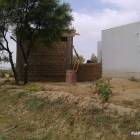 AGRICULTURE LAND FARM HOUSES on installments at LAVISH LOCATION