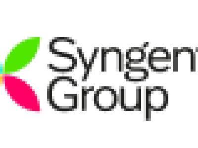 ARM & Financial Analyst - PK